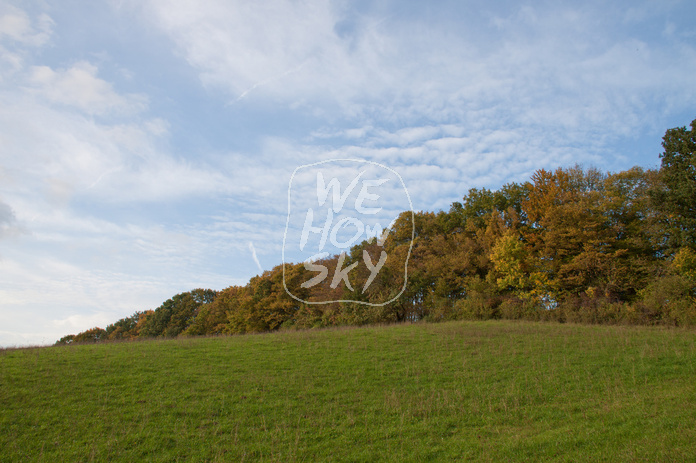 Herbstwald