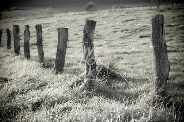 Stacheldrahtzaun mit Holzpfosten