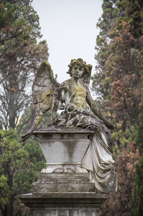 Friedhof Lissabon