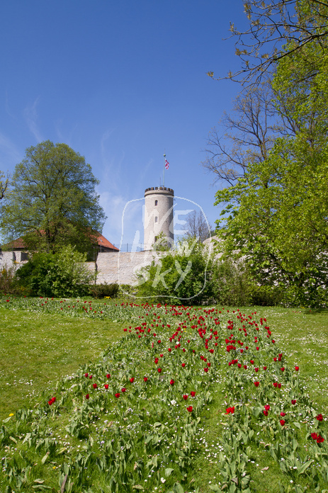 Sparrenburg