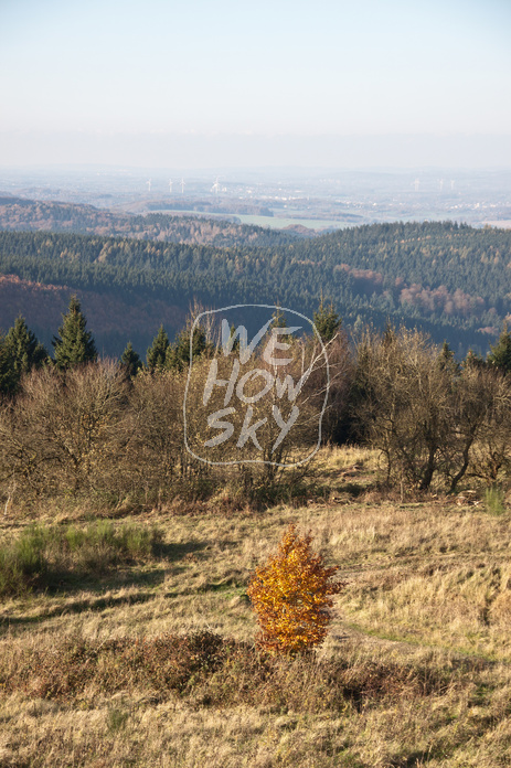 Blick vom Aussichtsturm