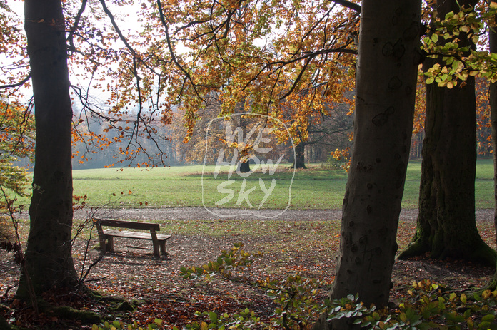 Sitzbänke im Herbstwald
