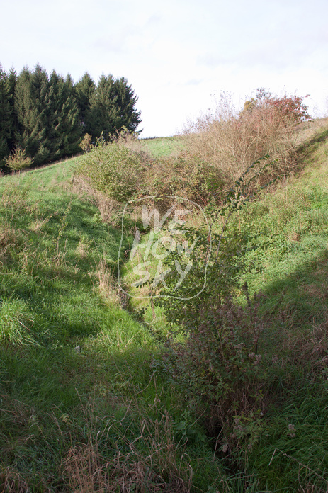 Schmaler Bachlauf
