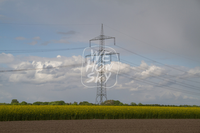 Überlandleitung hinter Rapsfeld