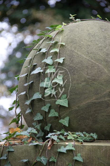 Eingang Friedhof