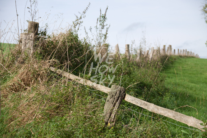 Weidezaun aus Holz