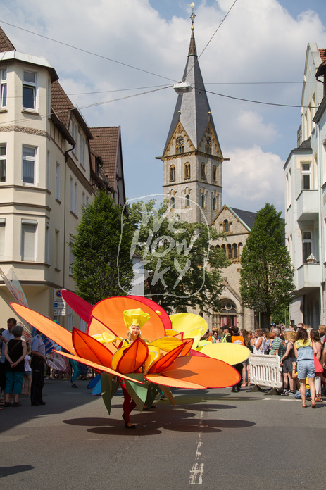 Carnival der Kulturen 2016 Carnival der Kulturen 2016