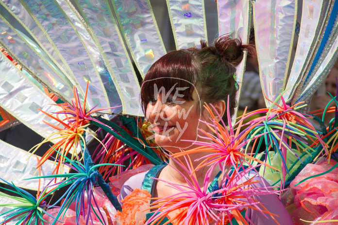 Carnival der Kulturen 2016 Carnival der Kulturen 2016