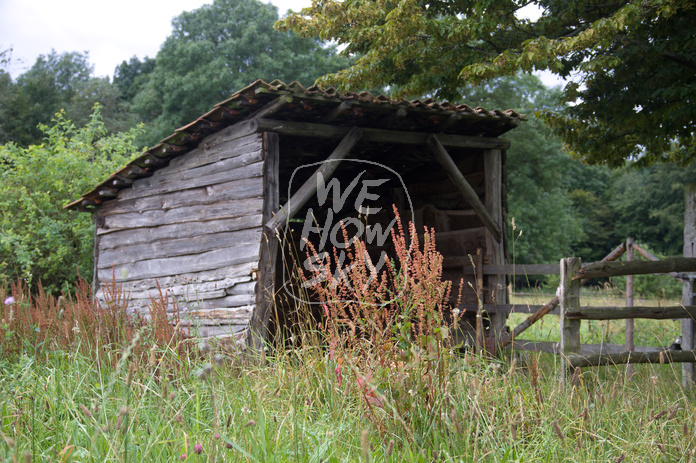 Weidestall