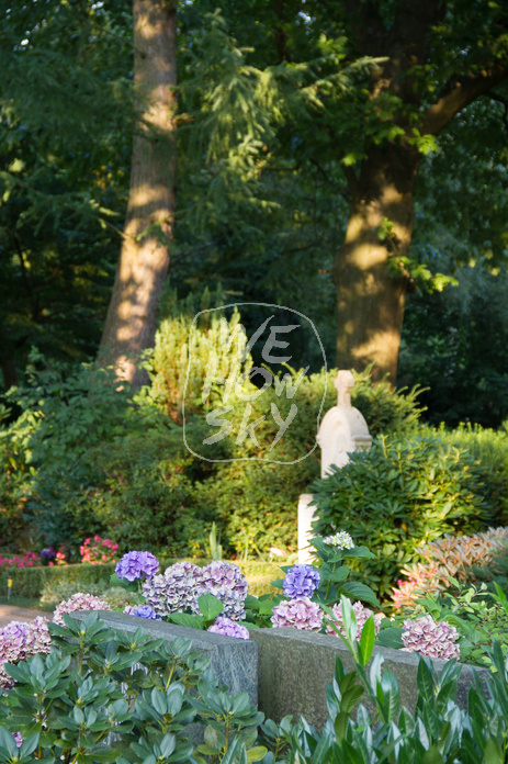 Friedhof im Abendlicht