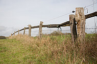 Holzweidezaun