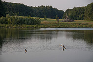 Obersee Schildesche