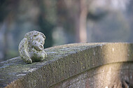 Kleiner Engel auf Grabstein