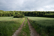 Nahendes Gewitter