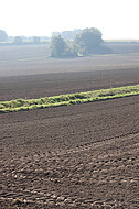 Acker im Gegenlicht