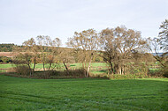 Blick auf die Weser