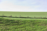 Weidezaun mit Holzpfosten