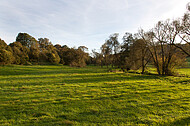 Herbstwiese