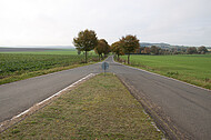 Verkehrsinsel