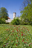 Sparrenburg