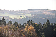 Blick vom Aussichtsturm