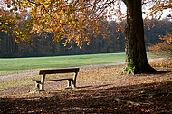 Sitzbänke im Herbstwald