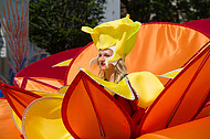 Carnival der Kulturen 2016