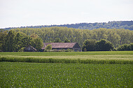 Verstecktes Bauernhaus