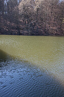 Schatten auf Teich