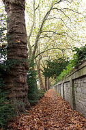 Friedhofsmauer Detmold