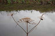 Spiegendes Wasser