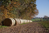 Strohballen am Waldrand