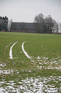 Schneespuren auf grünem Acker