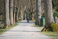 Friedhofsallee