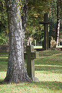 Steinkreuz an Baum