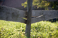 Holzweidezaun