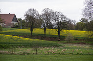 Bauernhaus im Frühling