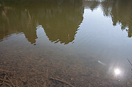 Schatten auf Teich