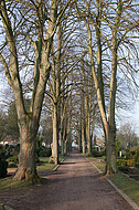 Friedhofsallee