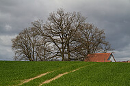 Bauernhaus im Frühling