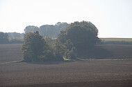 Acker im Gegenlicht