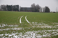 Schneespuren auf grünem Acker