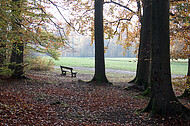 Sitzbänke im Herbstwald