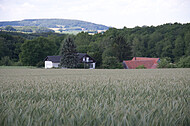 Bauernhaus hinter Kornfeld