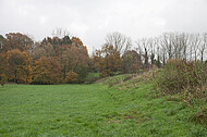 Herbstwiese