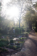 Friedhofszene im Gegenlicht