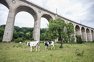 Viadukt Altenbeken