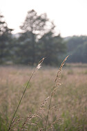 Uferflächen Johannesbach