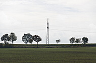 Bäume am Horizont