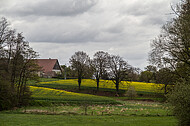 Bauernhaus im Frühling